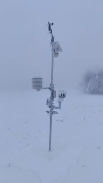 Sitno_20260211_1