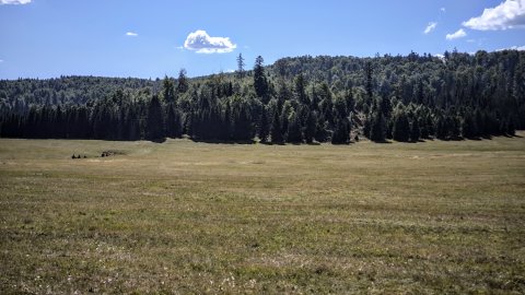 Veľká Poľana_20260831_2
